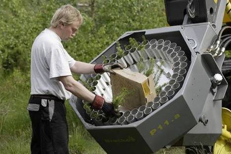 Nachfüllen der Containerpflanzen